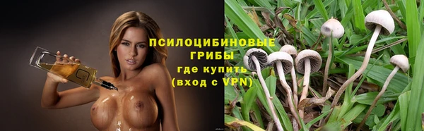синтетический гашиш Алексин