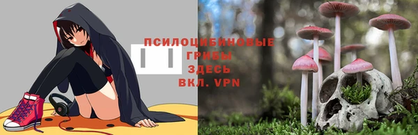 синтетический гашиш Алексин