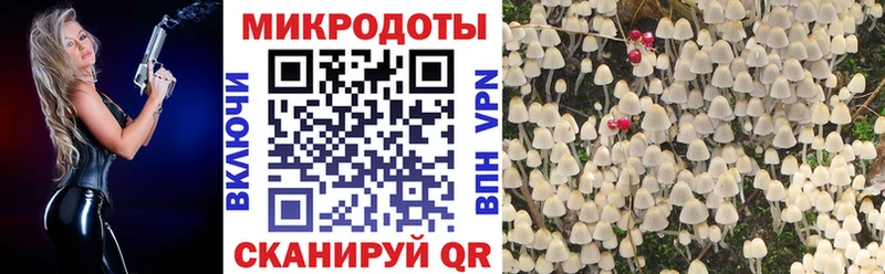Псилоцибиновые грибы Psilocybe  ссылка на мегу   Фокино 
